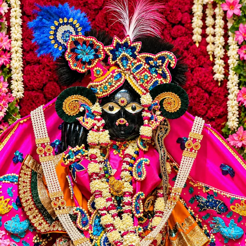 Banke Bihari Ji Prasad — Mini Pouch