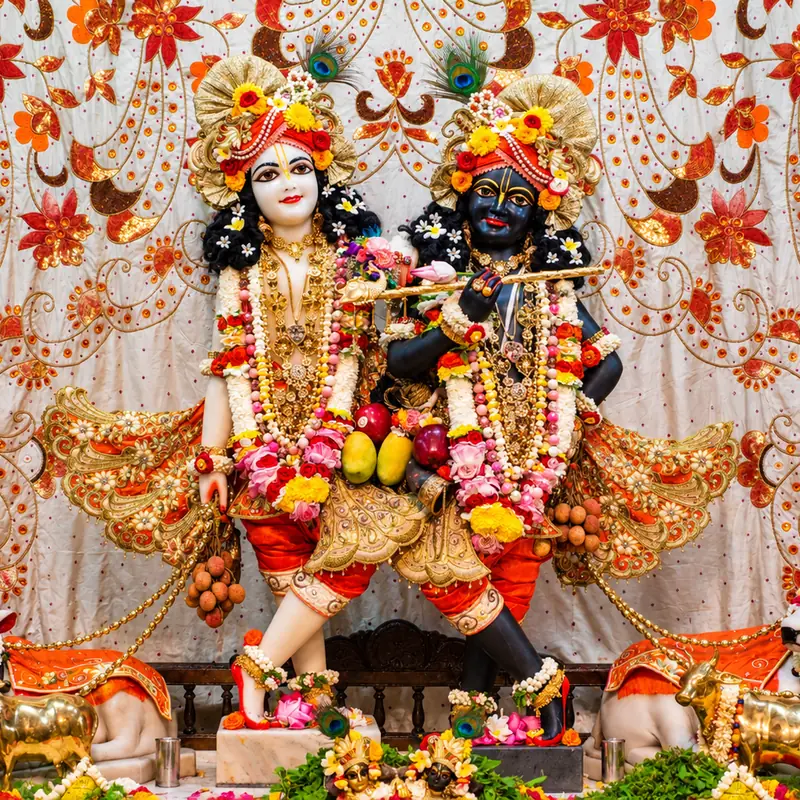 ISKCON Vrindavan Prasad Pack