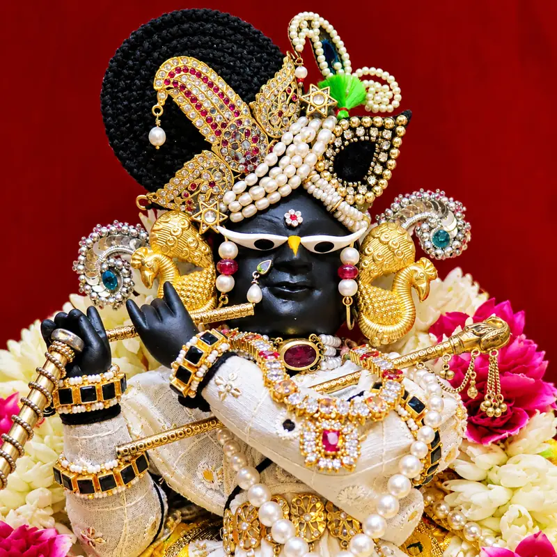 Radha Raman Ji Family Prasad Hamper