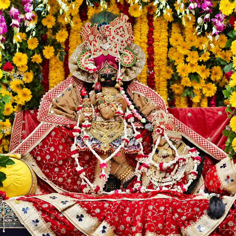 Radha Vallabh Ji Prasad Pack